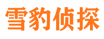 北辰寻人公司